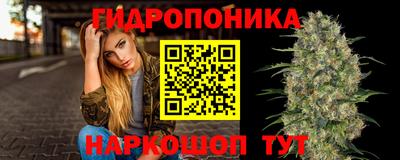 твердый Будённовск