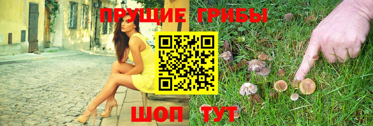 Псилоцибиновые грибы GOLDEN TEACHER Октябрьский