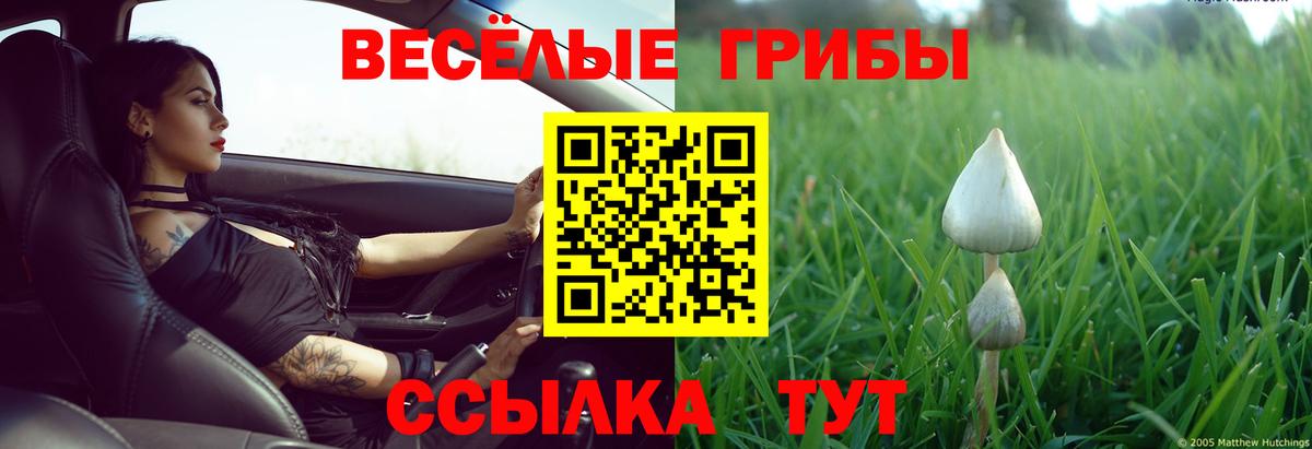 Октябрьский  Галлюциногенные грибы Magic Shrooms  Вход с VPN 